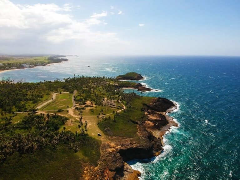 Tendencias de turistas en Punta Cana y el Caribe