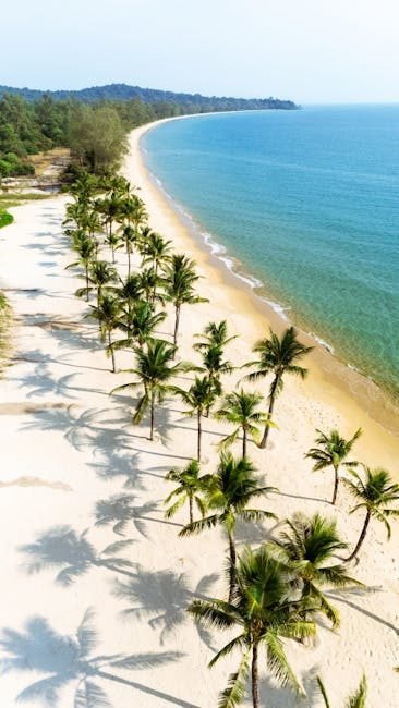 10 Experiencias Únicas en Punta Cana que No Te Puedes Perder en 2026