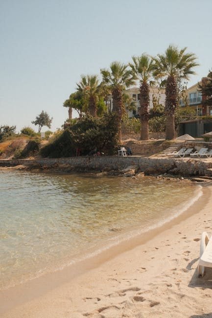 Samaná en 2026: un paraíso caribeño por explorar