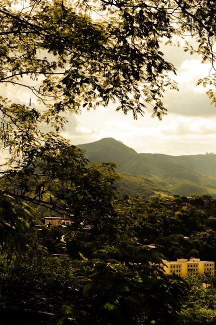 Moca: el nuevo foco de interés para turistas en 2026