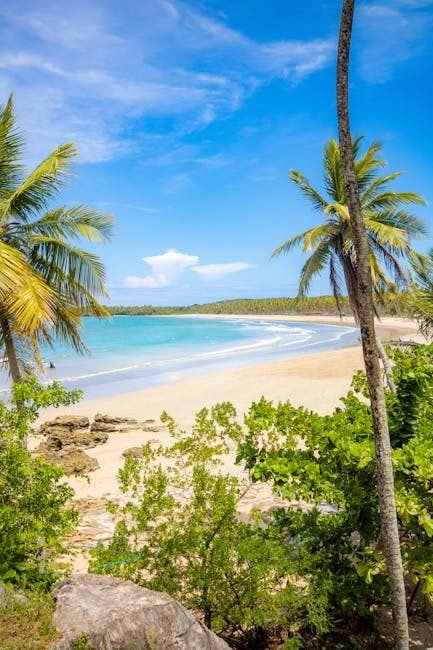 Samaná: el destino turístico oculto de República Dominicana que debes explorar