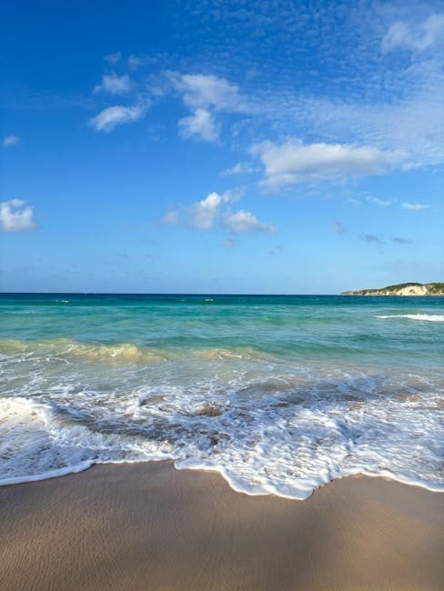 Samaná en 2026: el destino turístico que no puedes ignorar