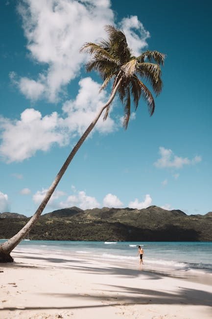 Samaná en 2026: Un destino turístico de ensueño en el Caribe