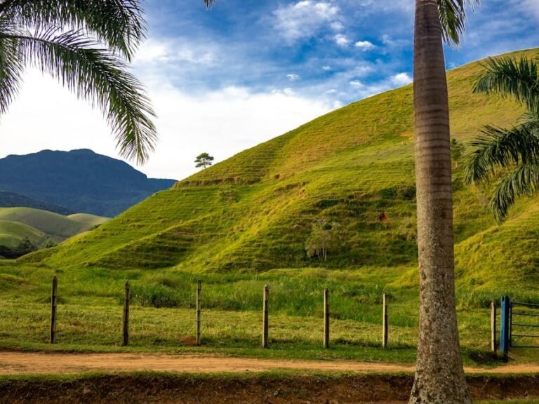 Búsquedas de viajeros en República Dominicana