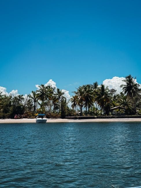 Samaná en 2026: Un destino turístico en auge y sus secretos