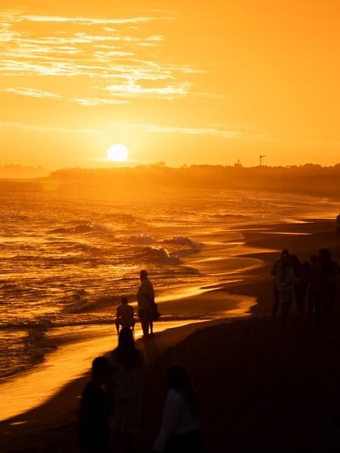 Interés Creciente en Punta Cana desde Europa: ¿Qué Buscan los Turistas?