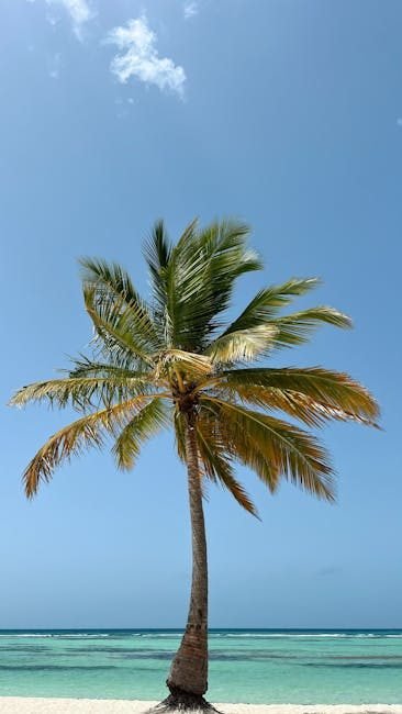 Samaná en 2026: Un Paraíso Turístico por Descubrir