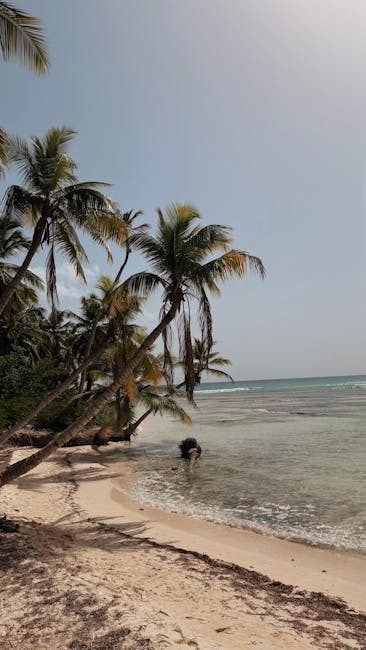 Samaná en 2026: Un paraíso del turismo sostenible en el Caribe