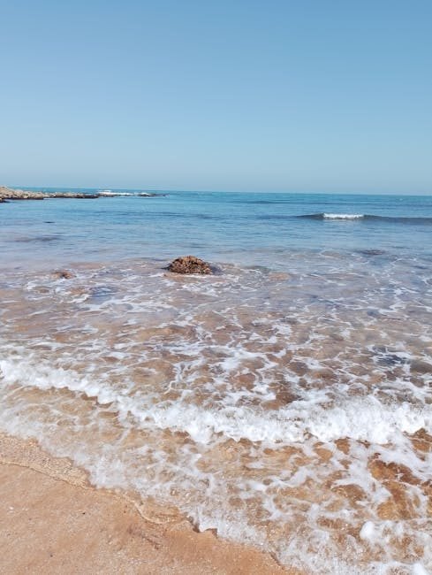 10 Experiencias Imperdibles en Punta Cana para 2026