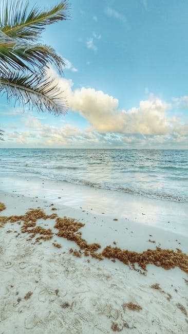 10 actividades imperdibles en Punta Cana 2026