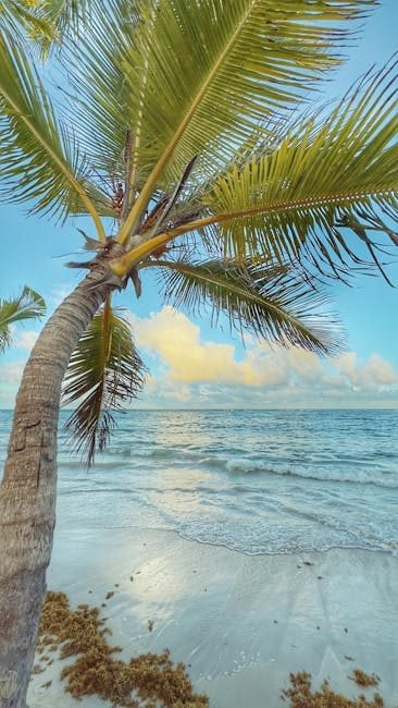 Samaná en 2026: Un Destino Imperdible para el Turismo