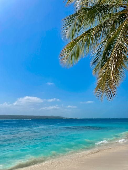 Samaná en 2026: ¿por qué es un destino turístico imprescindible?