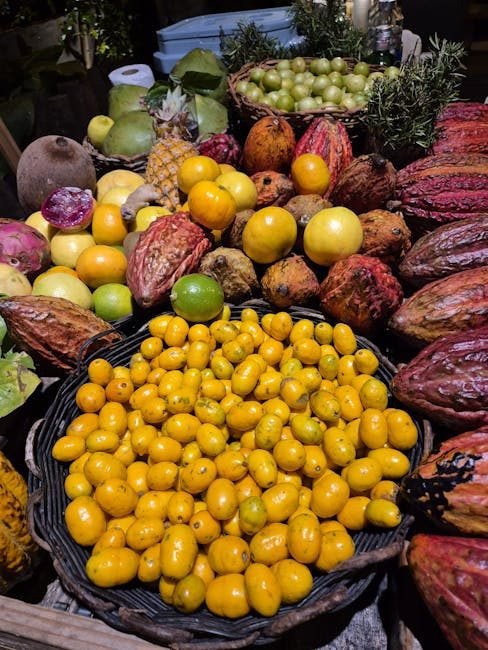 Nagua y su cacao: cultura, café y tradiciones únicas del Cibao