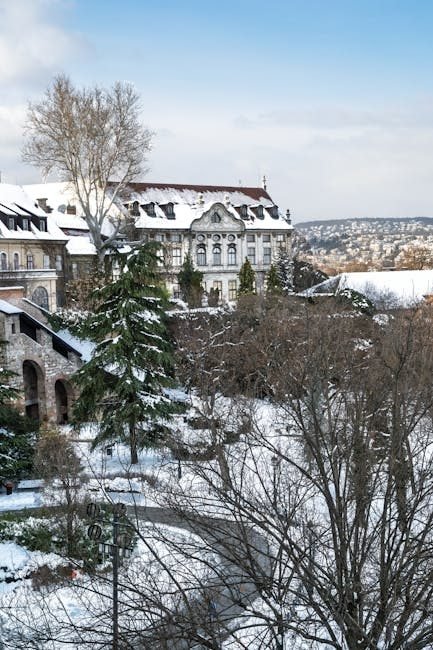 Temporadas de viaje a República Dominicana: ¿Cuándo visitar?