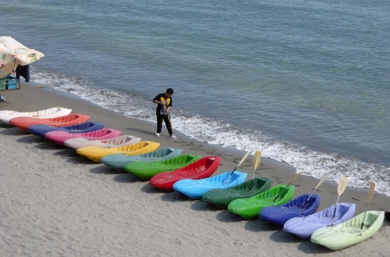 12 Actividades Únicas para Hacer en Punta Cana en 2026