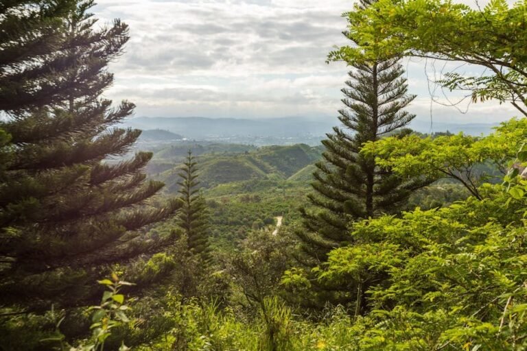 Cómo llegar a Barahona para disfrutar del ecoturismo en el sur