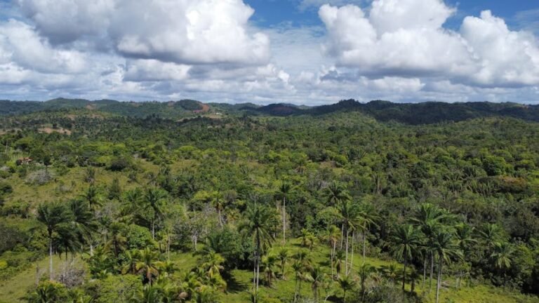 Moca: El nuevo punto de interés para viajeros canadienses y estadounidenses