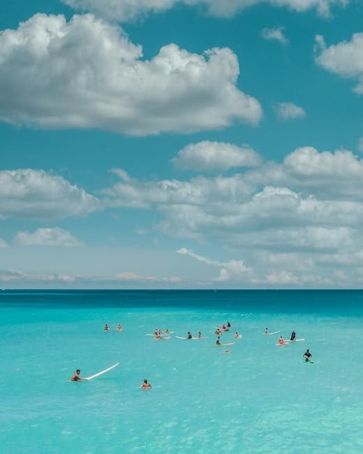 Actividades Imperdibles en Punta Cana para 2026