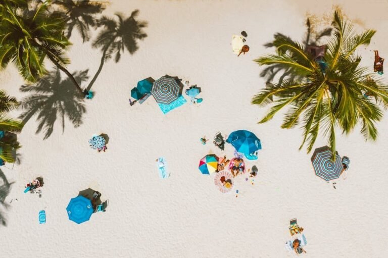 ¿Cuándo Viajar a República Dominicana en 2026? Temporadas y Consejos