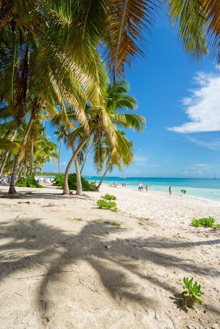 Temporadas altas de turismo en República Dominicana 2026