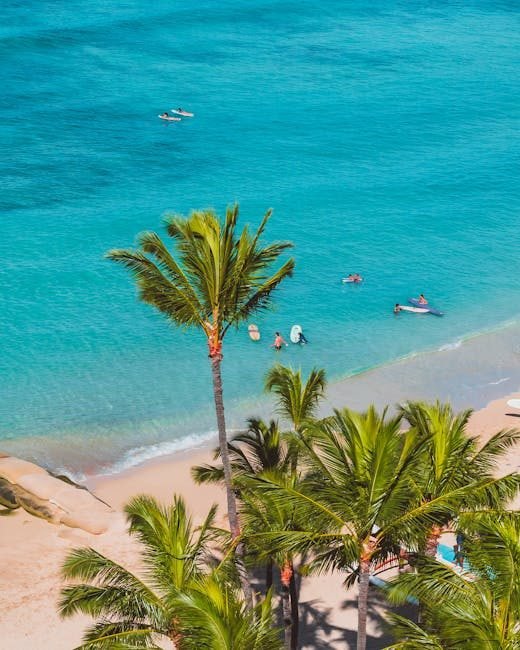 10 Actividades Imperdibles en Punta Cana para 2026