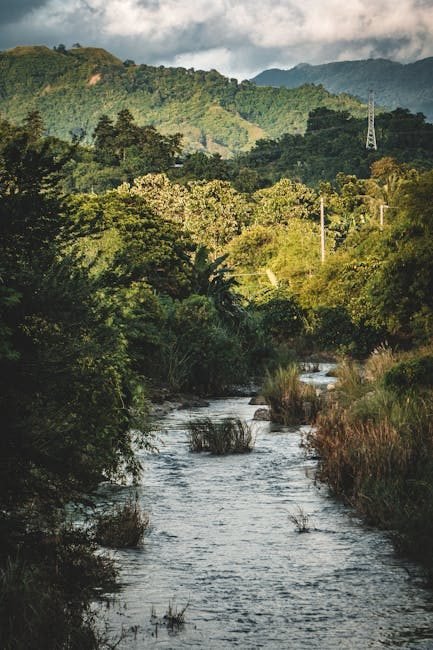 Río San Juan Gri Gri: Explorando la Cultura y Naturaleza en Duarte
