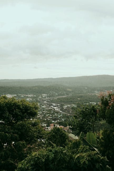 Cómo llegar a Azua y descubrir el frío inesperado del Valle Nuevo