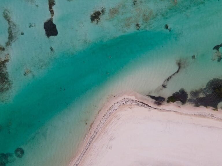 Cómo llegar a Neiba y explorar el Lago Enriquillo en 2026