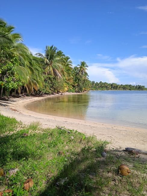 Samaná en 2026: El Paraíso Caribeño que No Te Puedes Perder