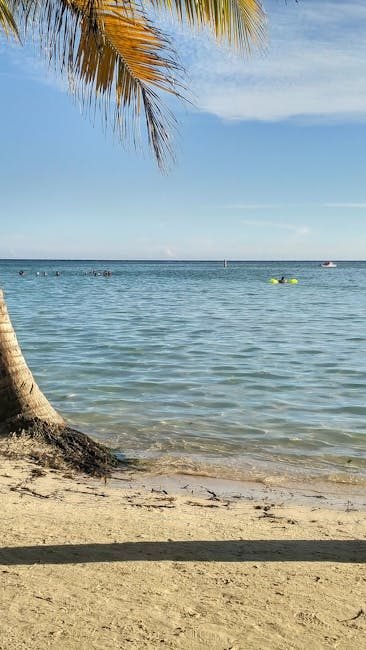 Cómo llegar a las playas de Miches desde Santo Domingo en 2026