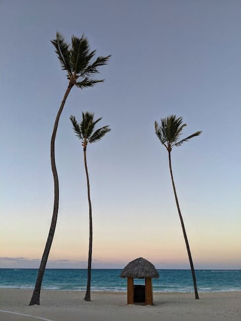 10 experiencias imperdibles en Punta Cana 2026