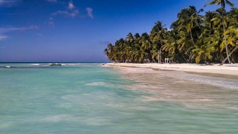 Las Mejores Experiencias de Turismo en República Dominicana 2026
