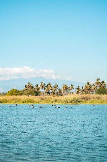 Cómo llegar a Neiba y explorar el Lago Enriquillo en 2026