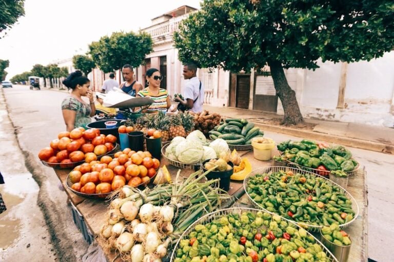 Intereses de turistas europeos en el Caribe