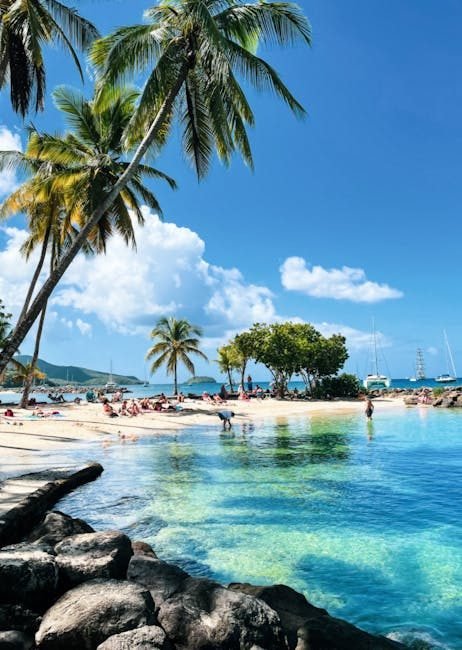Alemania y su conexión con el Caribe: opciones de vuelo y estadía