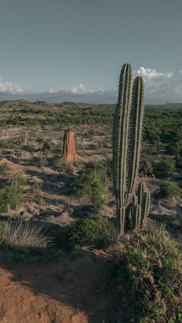 ¿Por qué el Cibao se vuelve atractivo para turistas de EE.UU. y Canadá?