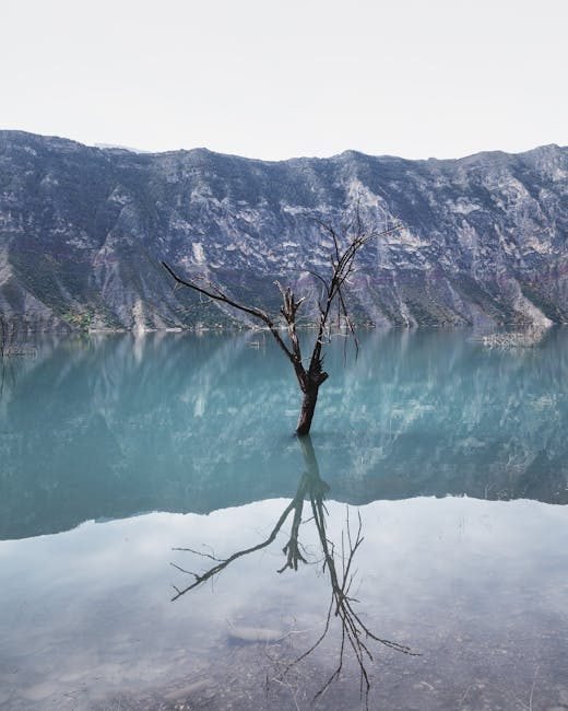Cómo llegar a Neiba y explorar Lago Enriquillo fácilmente