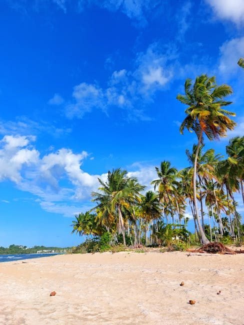 Rutas y playas en Miches: tu guía para explorar El Seibo