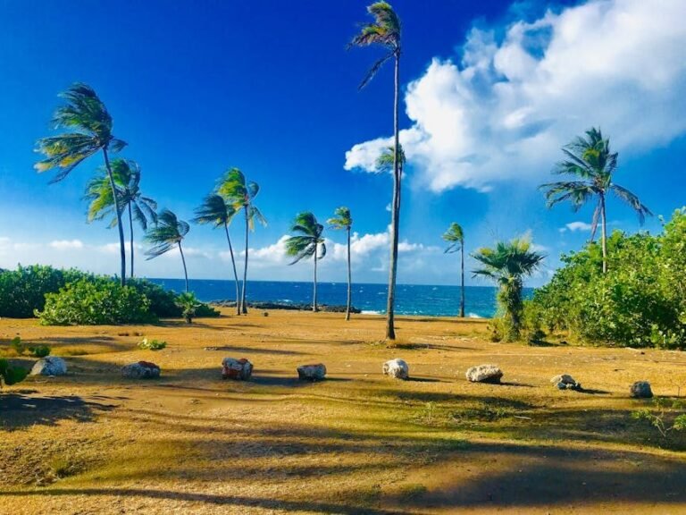 Turismo en Juan Dolio: playas, béisbol y cultura