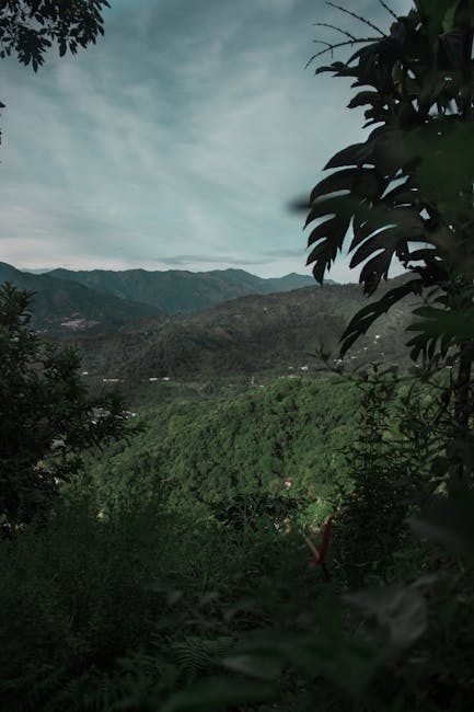 Cómo llegar a Barahona y explorar su ecoturismo en 2026
