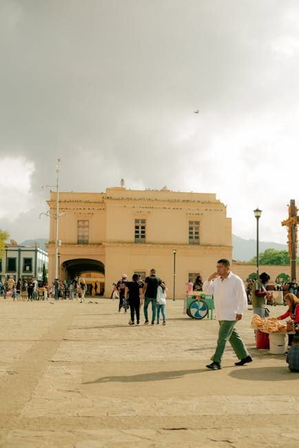 Moca: Tendencias de búsqueda en turismo internacional