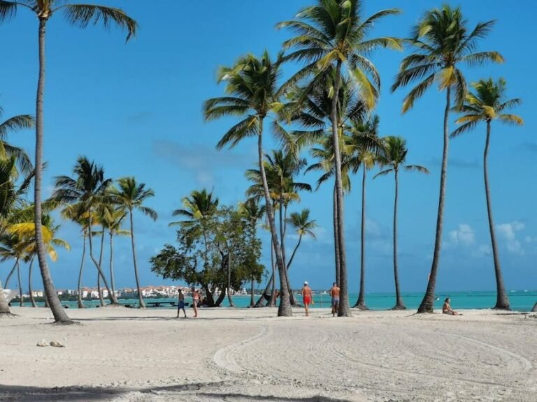 Tendencias de búsqueda en Juan Dolio: interés europeo por el Caribe