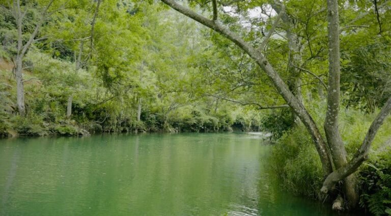 Cómo llegar a Barahona: ecoturismo en el sur de RD