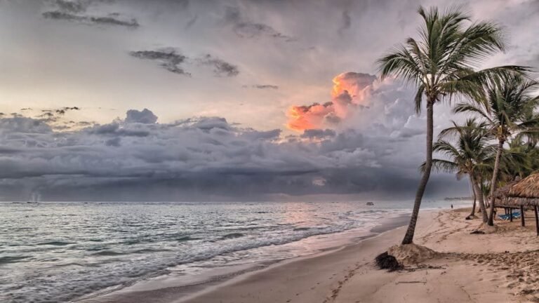 Cómo llegar a Nagua María Trinidad Sánchez desde Punta Cana