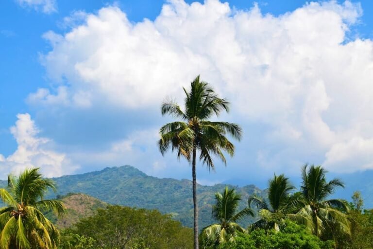 Cómo llegar a Barahona y disfrutar del ecoturismo en su sur