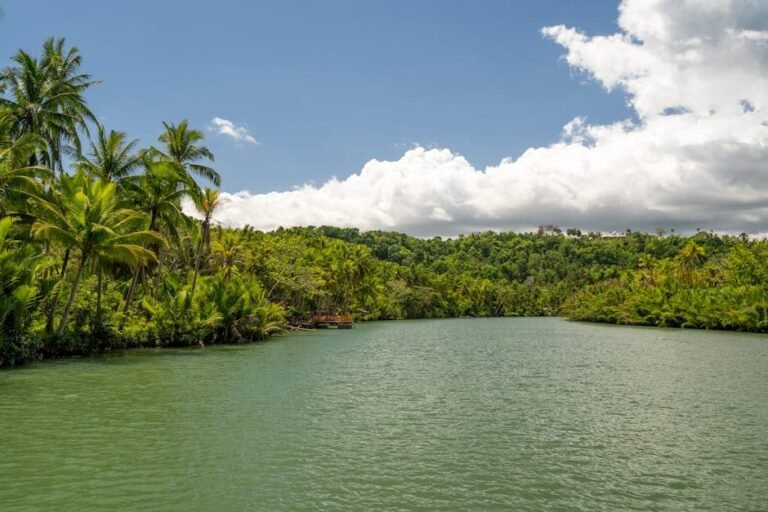 Interés creciente en el Cibao: ¿qué buscan los viajeros norteamericanos?