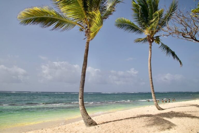 Cómo llegar a Miches y disfrutar sus playas en El Seibo