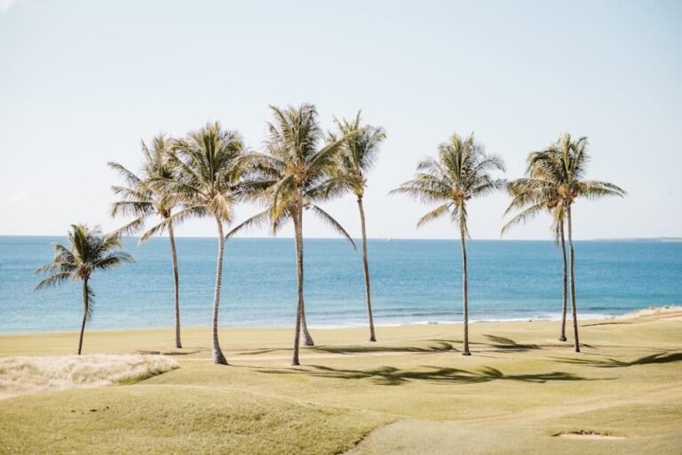 Cómo llegar a Nagua: Rutas y consejos para tu visita