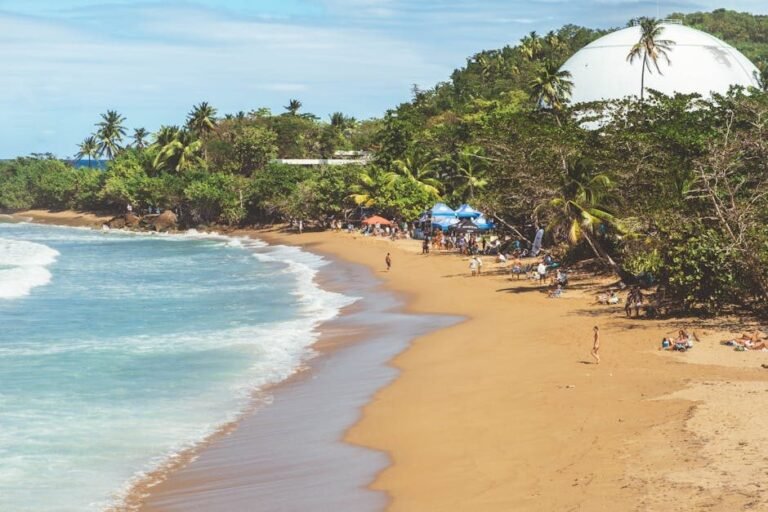 Interés turístico en el Caribe: ¿Qué buscan los europeos esta semana?