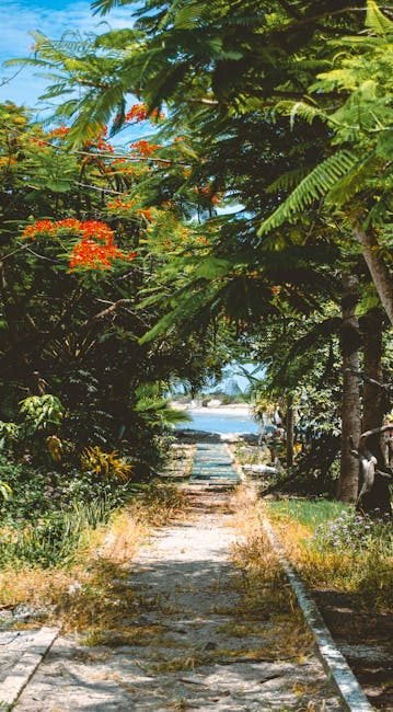 Cómo llegar a Neiba y explorar el Lago Enriquillo en 2026